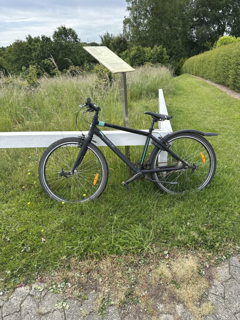 Sort cykel